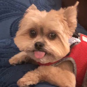 Meet your Posher, Ana